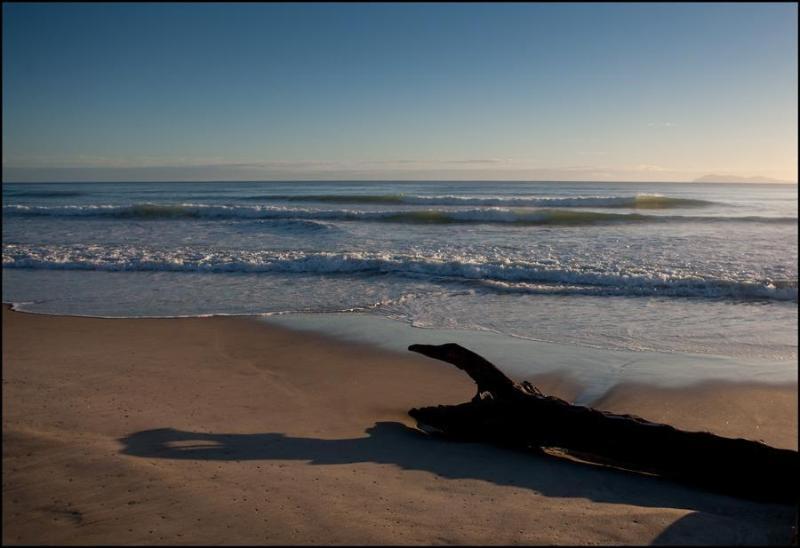 Waihi Beach Lodge エクステリア 写真