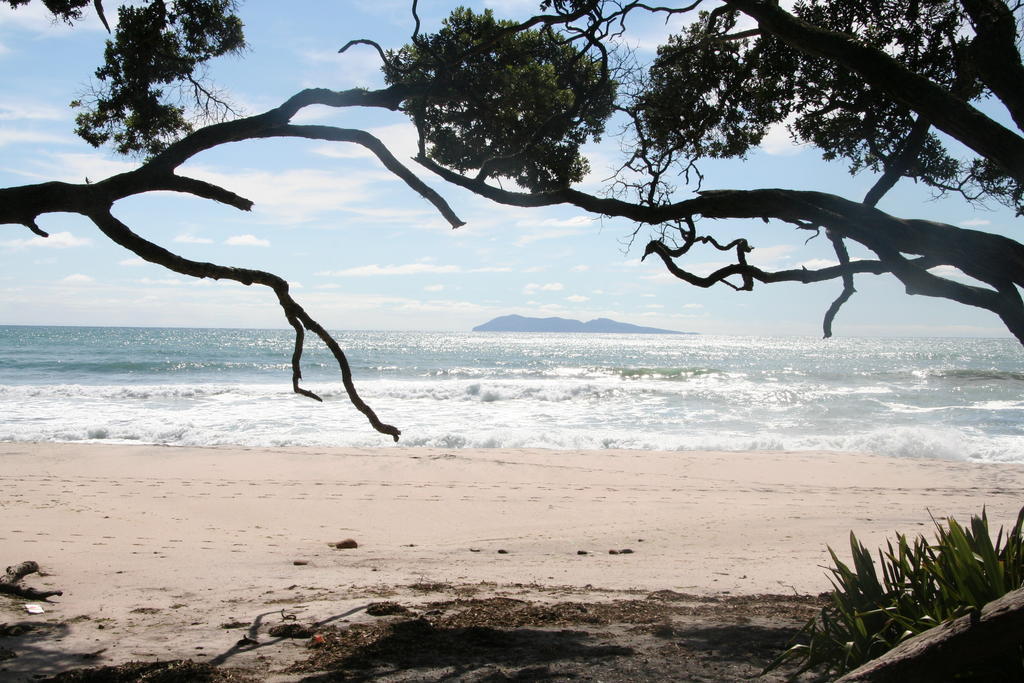 Waihi Beach Lodge エクステリア 写真