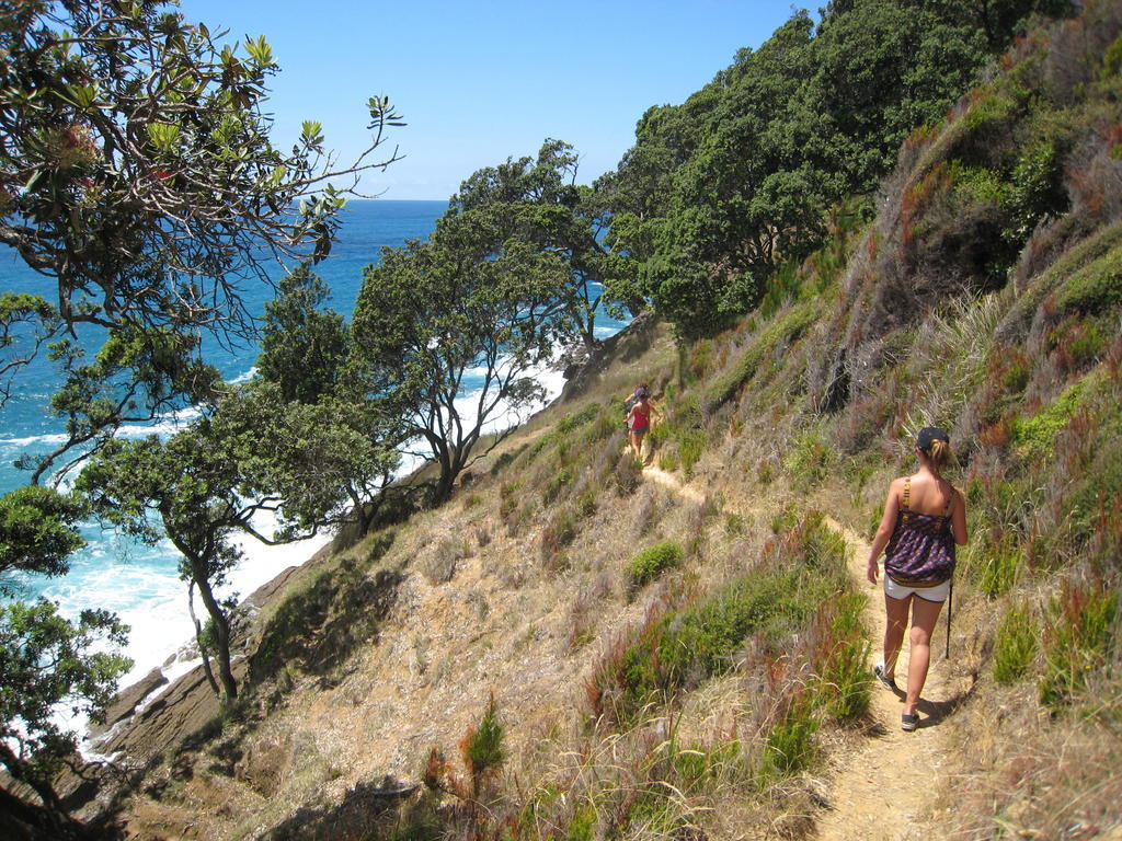 Waihi Beach Lodge エクステリア 写真