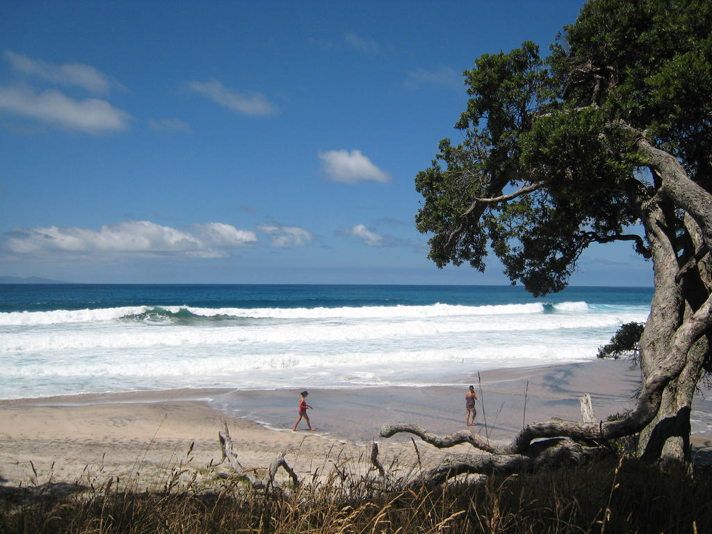 Waihi Beach Lodge エクステリア 写真