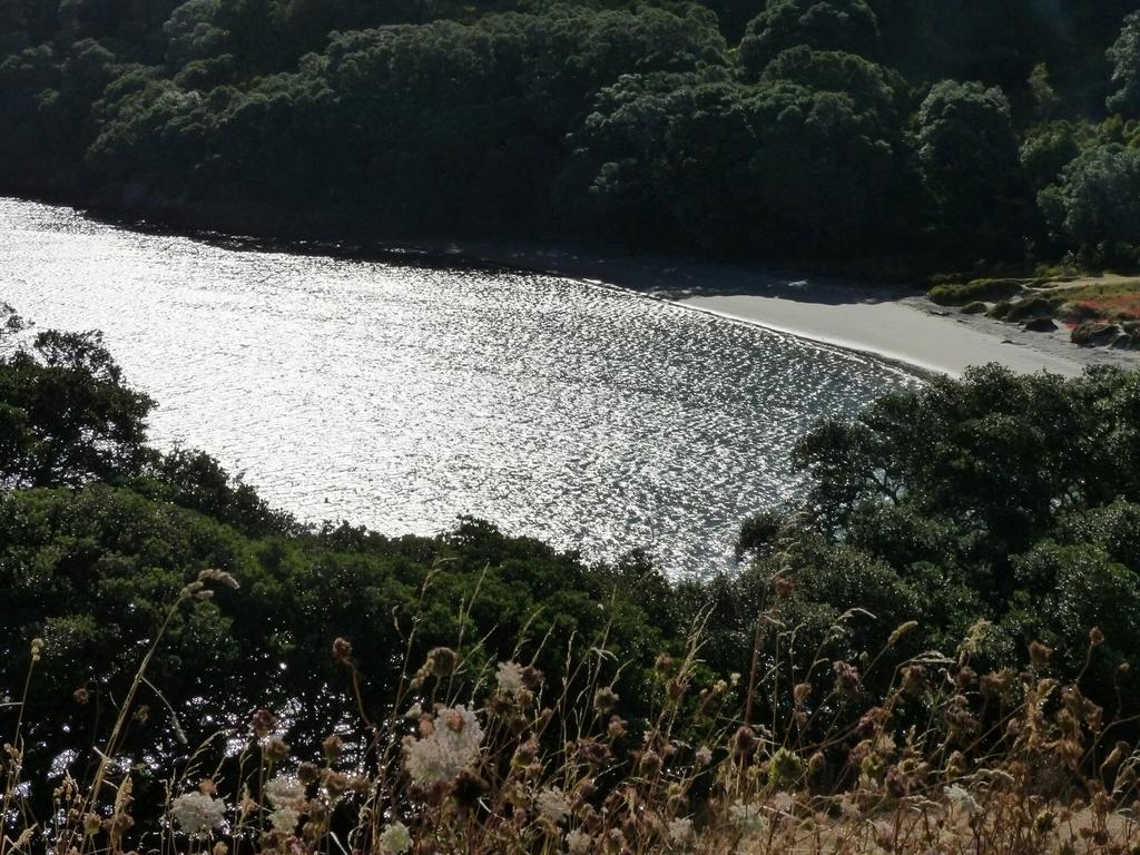 Waihi Beach Lodge エクステリア 写真